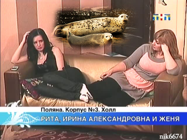 http://upforme.ru/uploads/000e/62/66/11538-1-f.jpg