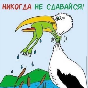 http://upforme.ru/uploads/000e/73/7c/2/t53402.jpg