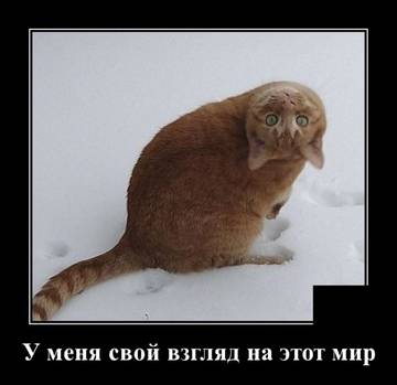 http://upforme.ru/uploads/000e/73/7c/53/t30246.jpg