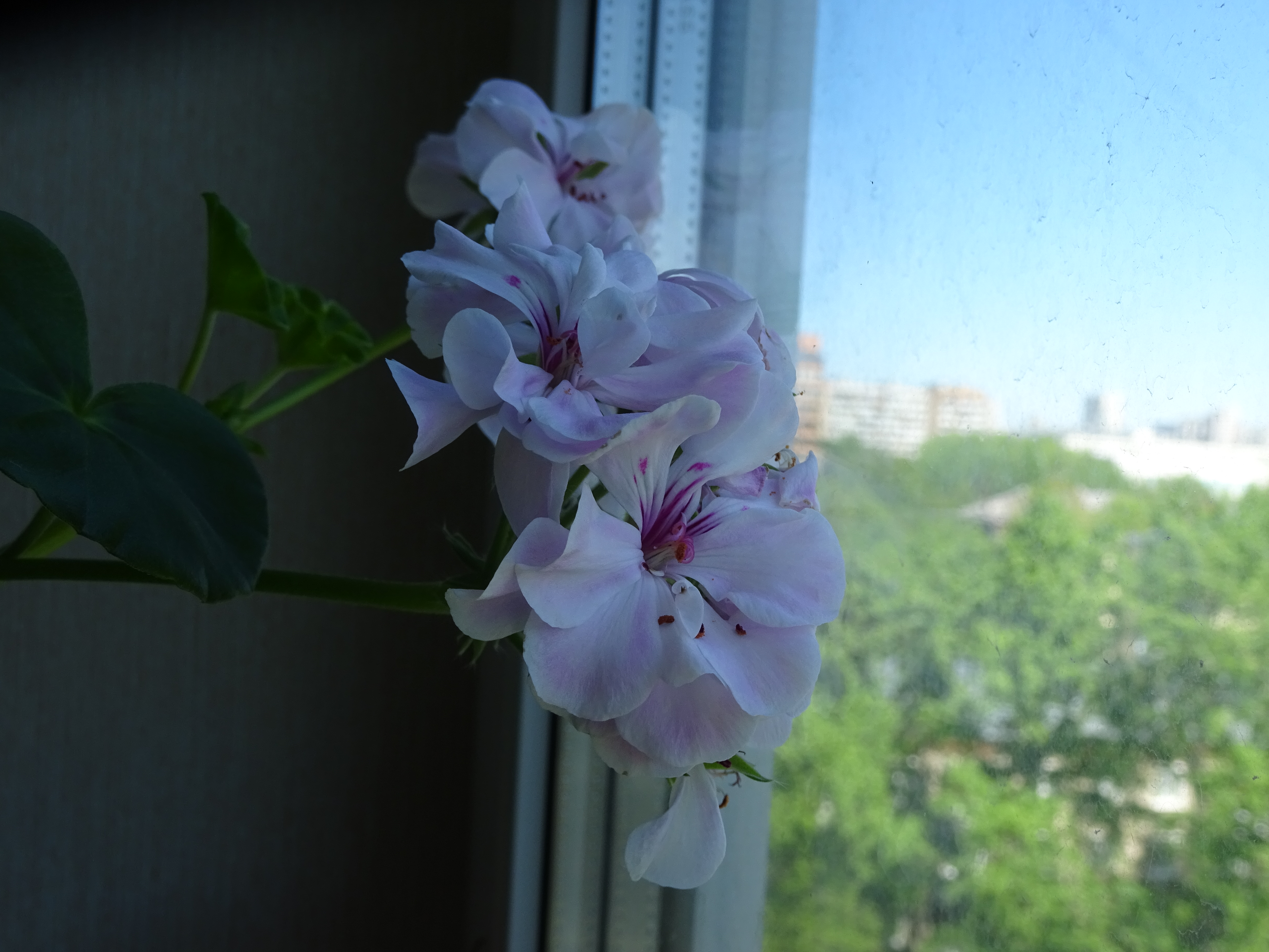 http://upforme.ru/uploads/000e/81/4f/2/104821.jpg