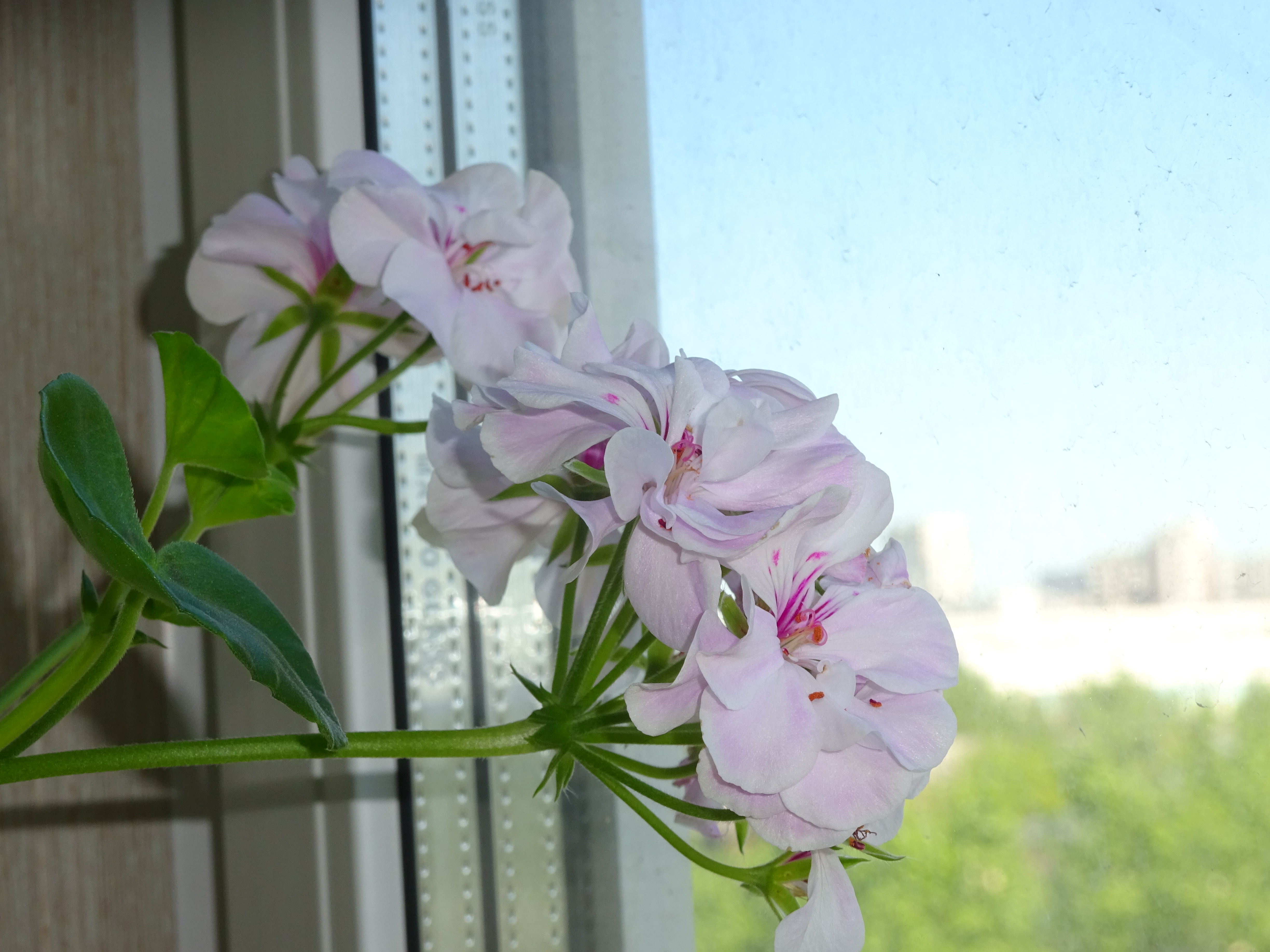 http://upforme.ru/uploads/000e/81/4f/2/104907.jpg