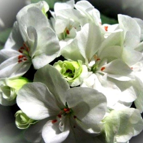 http://upforme.ru/uploads/000e/81/4f/3/17875.jpg