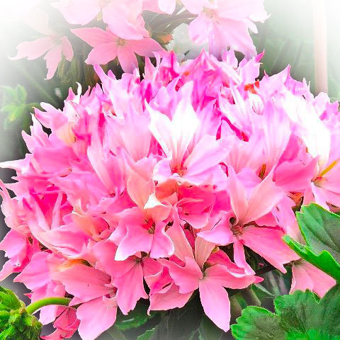 http://upforme.ru/uploads/000e/81/4f/3/32078.jpg