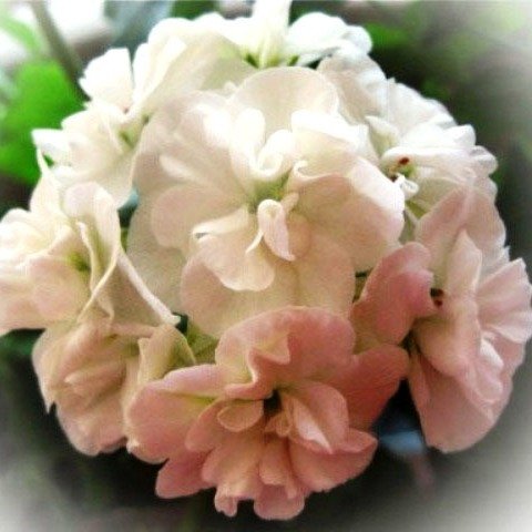 http://upforme.ru/uploads/000e/81/4f/3/37645.jpg