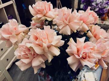 ��������-2