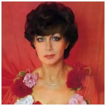 C�����������