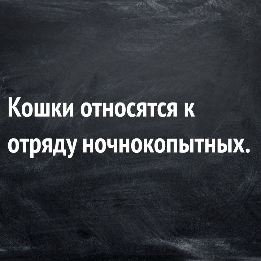 http://upforme.ru/uploads/000e/9d/d4/12/758873.jpg