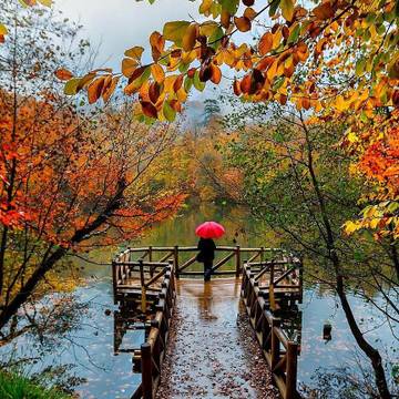 http://upforme.ru/uploads/000e/9d/d4/2/t542961.jpg