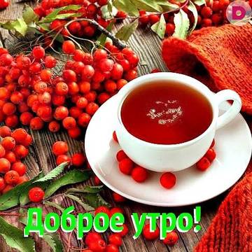 http://upforme.ru/uploads/000e/ad/4d/27669/t309337.jpg