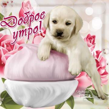 http://upforme.ru/uploads/000e/ad/4d/27669/t315307.jpg