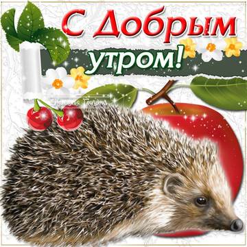http://upforme.ru/uploads/000e/ad/4d/27669/t456623.jpg