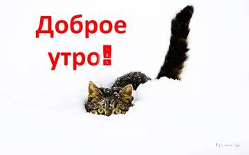http://upforme.ru/uploads/000e/ad/4d/27669/t86450.jpg
