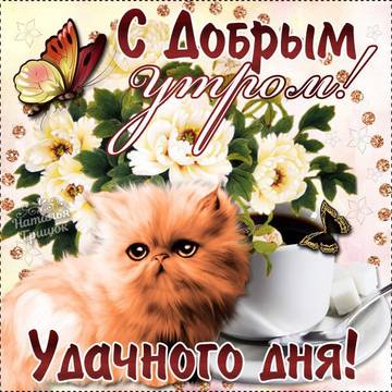 http://upforme.ru/uploads/000e/ad/4d/27669/t926728.jpg