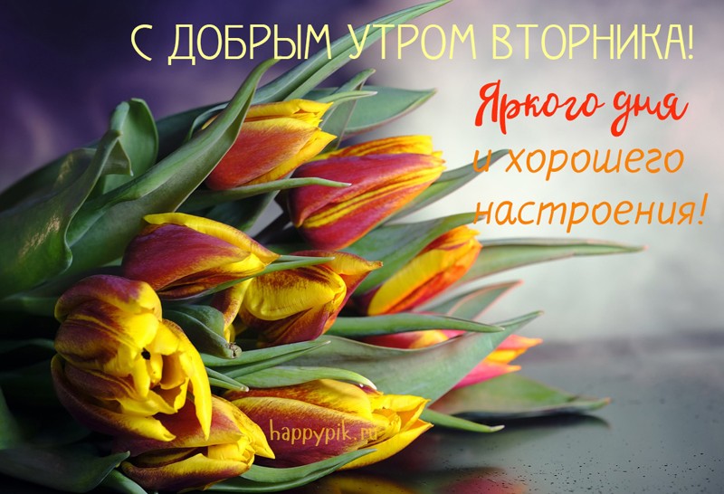 http://upforme.ru/uploads/000e/ad/4d/31488/27519.jpg