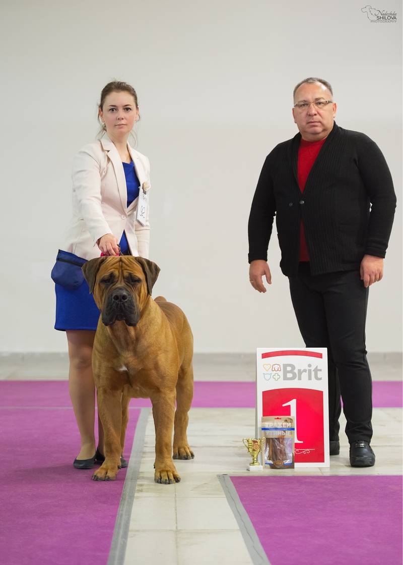 http://upforme.ru/uploads/000e/c3/34/5/25717.jpg