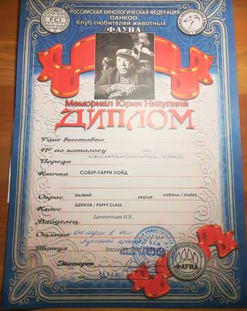 http://upforme.ru/uploads/000e/c3/34/76/59954.jpg