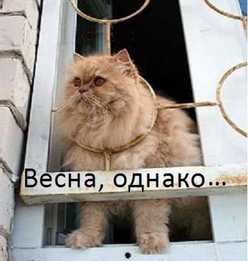 http://upforme.ru/uploads/000e/c6/39/320/t80151.jpg