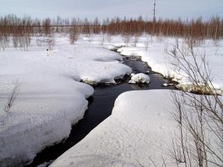 http://upforme.ru/uploads/000e/c9/67/6402-1.jpg