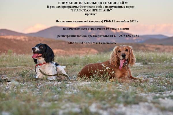 http://upforme.ru/uploads/000e/d2/14/7/t814625.jpg