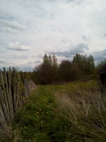 http://upforme.ru/uploads/000e/db/96/2/t503738.jpg