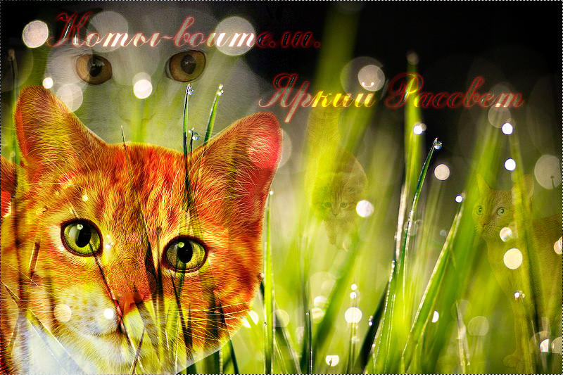 http://upforme.ru/uploads/000e/f7/da/333-2-f.png