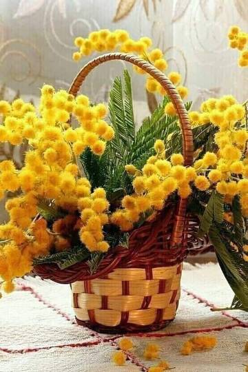 http://upforme.ru/uploads/000f/03/01/5164/t893018.jpg