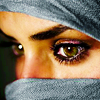 http://upforme.ru/uploads/000f/33/8b/3039-1.png
