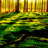 http://upforme.ru/uploads/000f/33/8b/4180-1.png