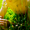 http://upforme.ru/uploads/000f/33/8b/4180-2.png