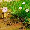 http://upforme.ru/uploads/000f/33/8b/4180-4.png