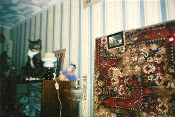 http://upforme.ru/uploads/000f/3e/78/3/t101906.jpg