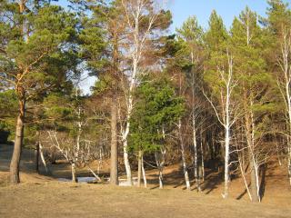 http://upforme.ru/uploads/000f/60/42/64-1.jpg