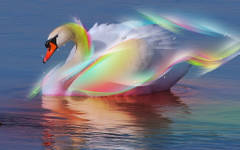 http://upforme.ru/uploads/000f/62/ef/2/t292774.jpg
