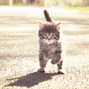 http://upforme.ru/uploads/000f/98/51/348-2.jpg