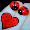 http://upforme.ru/uploads/000f/98/51/348-4.jpg