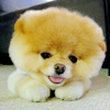 http://upforme.ru/uploads/000f/98/51/349-2.jpg