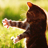 http://upforme.ru/uploads/000f/98/51/349-3.jpg