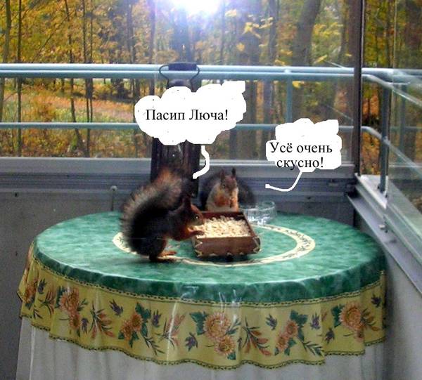 http://upforme.ru/uploads/000f/a0/99/259/t114879.jpg