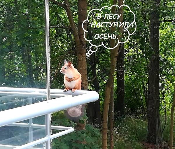 http://upforme.ru/uploads/000f/a0/99/259/t180215.jpg