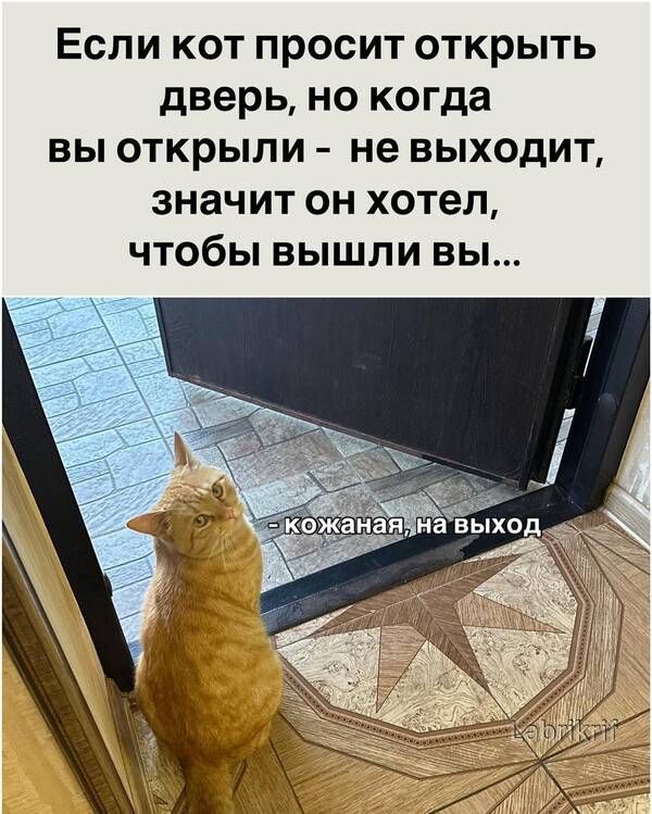http://upforme.ru/uploads/000f/a0/99/259/t18460.jpg