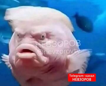 http://upforme.ru/uploads/000f/a0/99/259/t194626.jpg