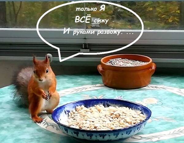 http://upforme.ru/uploads/000f/a0/99/259/t198251.jpg