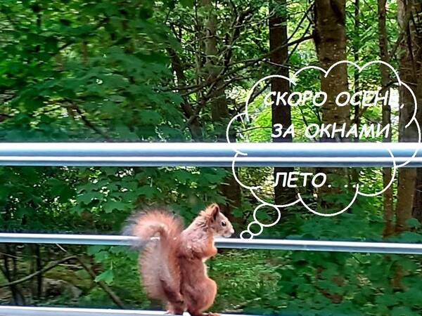http://upforme.ru/uploads/000f/a0/99/259/t235566.jpg