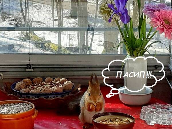 http://upforme.ru/uploads/000f/a0/99/259/t278875.jpg
