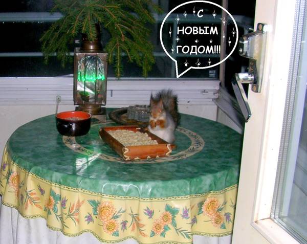http://upforme.ru/uploads/000f/a0/99/259/t29550.jpg