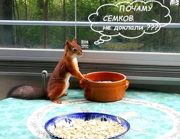 http://upforme.ru/uploads/000f/a0/99/259/t353577.jpg