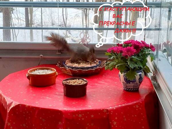 http://upforme.ru/uploads/000f/a0/99/259/t384253.jpg