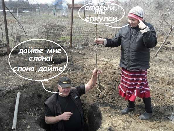 http://upforme.ru/uploads/000f/a0/99/259/t47123.jpg
