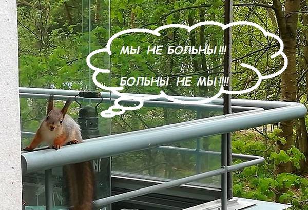 http://upforme.ru/uploads/000f/a0/99/259/t488648.jpg