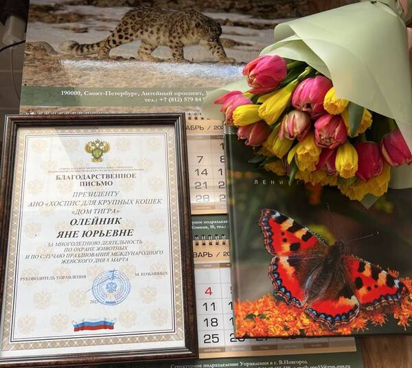http://upforme.ru/uploads/000f/a0/99/259/t527590.jpg